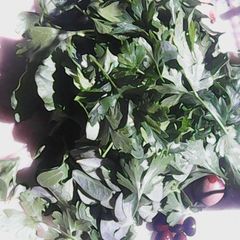 A picture of Fresh weeds smoothie.