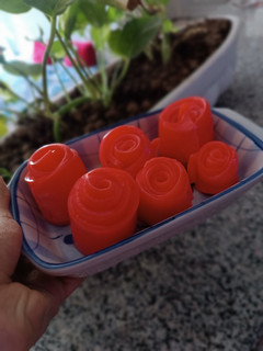 عکسی از دستور ژله رولی