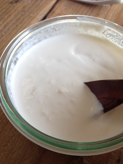 A picture of Homemade Sour Cream / Sour Cream Substitute .