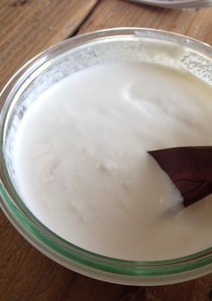 A picture of Homemade Sour Cream / Sour Cream Substitute .
