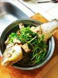 ปลาตะโกกนึ่งรากโสม(Slow cooker)