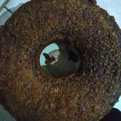รูปของ Bolu karamel