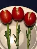 Trampantojo de Tulipanes de Holanda para ti 🌷