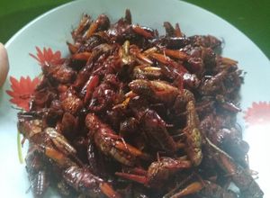 Foto resep Belalang/walang goreng krispi kriuk