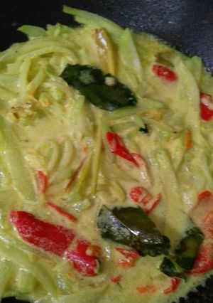 Foto resep Lodeh Manisa sederhana ala Mum Rorris