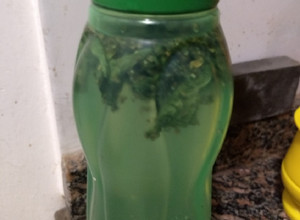 Una foto de Bebida Detox para llevar al trabajo ; o al gym 😱
