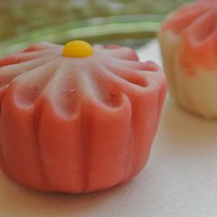 Nerikiri Wagashi: "Kiku" (Chrysanthemum) A picture of Nerikiri Wagashi: "Kiku" (Chrysanthemum).