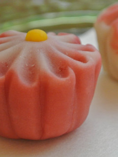 A picture of Nerikiri Wagashi: "Kiku" (Chrysanthemum).