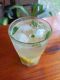 Mojito de cedrón