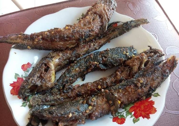 Cara Gampang Membuat Lele Bakar yang Bisa Manjain Lidah