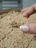 Tal Sankadi