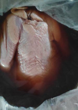 Una foto de Brine para pavo