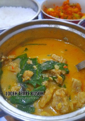 Foto resep Sayur Lodeh Tempe Bosok