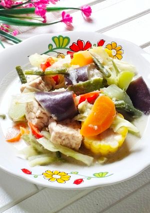 Foto resep Sayur Lodeh Tempe