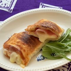 A picture of Hot Sandwich made in a microwave cooker.