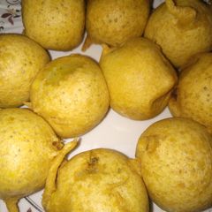 A picture of Batata Vada.