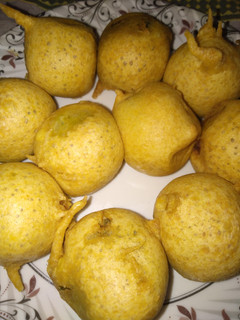A picture of Batata Vada.