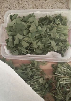 صورة لوصفة تخزين معدنوس (بقدونس) "2"