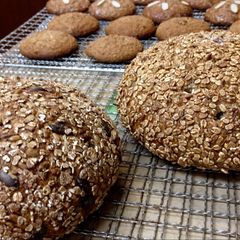 A picture of Roggenmischbrot / Rye Bread with Wild Grape or Raisin Yeast [Bakery Recipe].
