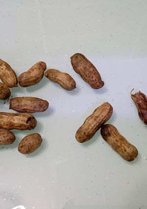 熟花生 的食譜成品照片