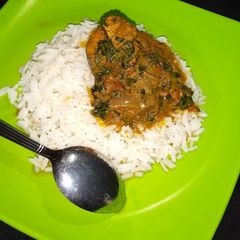 A picture of Banga stew and white rice.