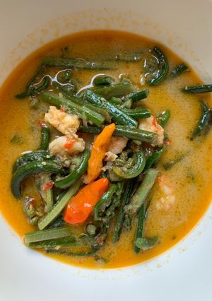 Foto resep Sayur Pakis