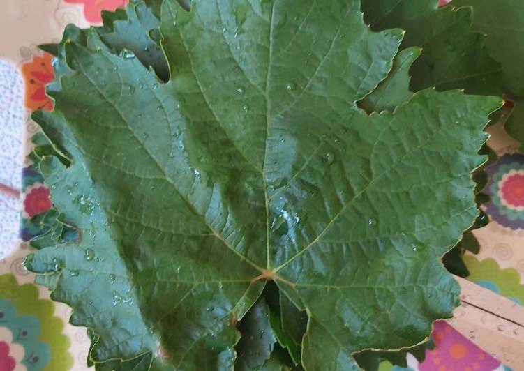 طریقه فریز کردن برگ مو دستور توسط سر آشپز آیدا - کوکپد