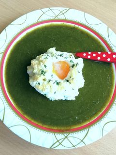 Regenor-os sóskaszósz🥬 recept fotója