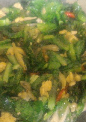 Foto resep Tumis tempe teri sayur ceriwis
