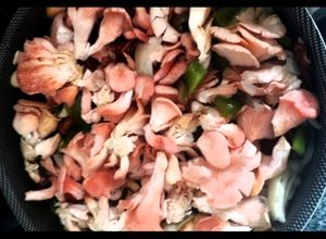 Foto de Shimeji rosa