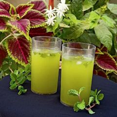 A picture of Fennel mint cooler.