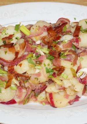 A picture of Bavarian Potato Salad, Jon Style.