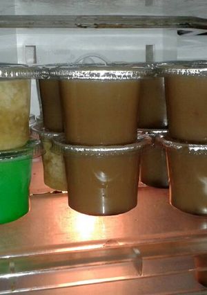 Foto resep Puding Rumahan Cantik