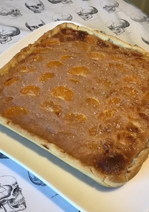 Une photo de Tarte aux mandarines,pêches et fromage blanc (pâte sablée ananas gingembre)