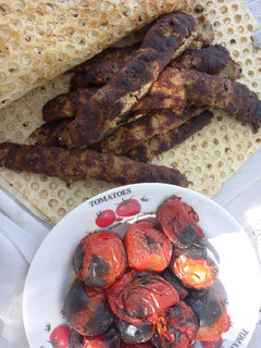 عکسی از دستور کباب کوبیده در طبیعت 😋😋