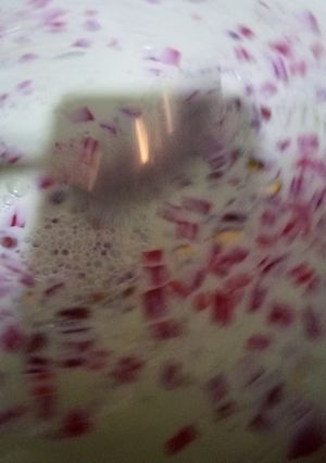 A picture of Falooda jelly sharbat.