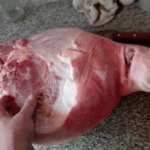 Carne de cerdo cruda