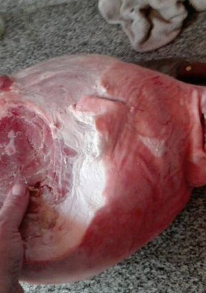 Una foto de Carne de cerdo cruda