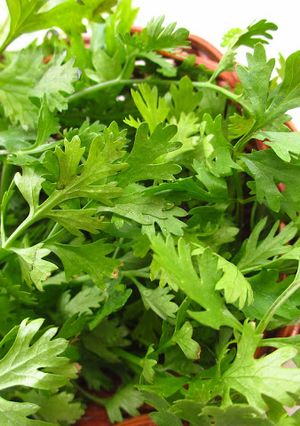 A picture of Kothimbir Wadi - A popular Maharashtrian snack.