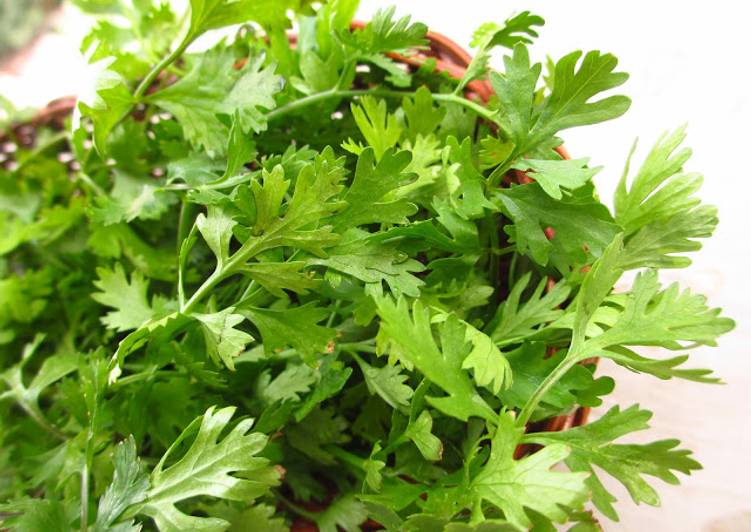 Steps to Make Any-night-of-the-week Kothimbir Wadi - A popular Maharashtrian snack