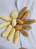 Chipas fit y chipas fat