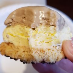 A picture of Custard Ice Cream.