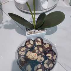 รูปของ Brownies mini kering