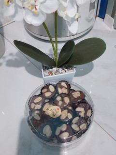 Foto resep Brownies mini kering