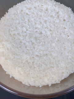 煮飯|過熱水蒸氣烤箱微波爐 的食譜成品照片