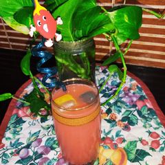 A picture of Plum Juice 🍹.