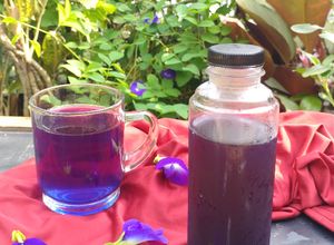 Foto resep (59) Ekstract Bunga Telang (Pewarna Alami Biru)