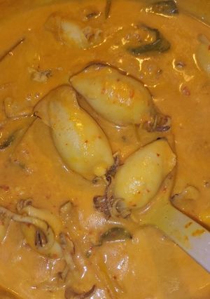 Foto resep Gulai Cumi Bunting / Gulai Cumi Isi Tahu