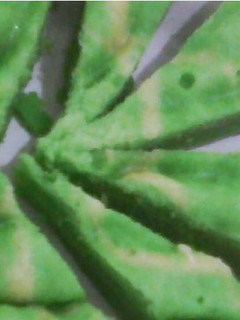 Foto resep Kue Marmer Pandan Rice Cooker No Mixer, No Ribet