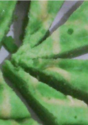 Foto resep Kue Marmer Pandan Rice Cooker No Mixer, No Ribet